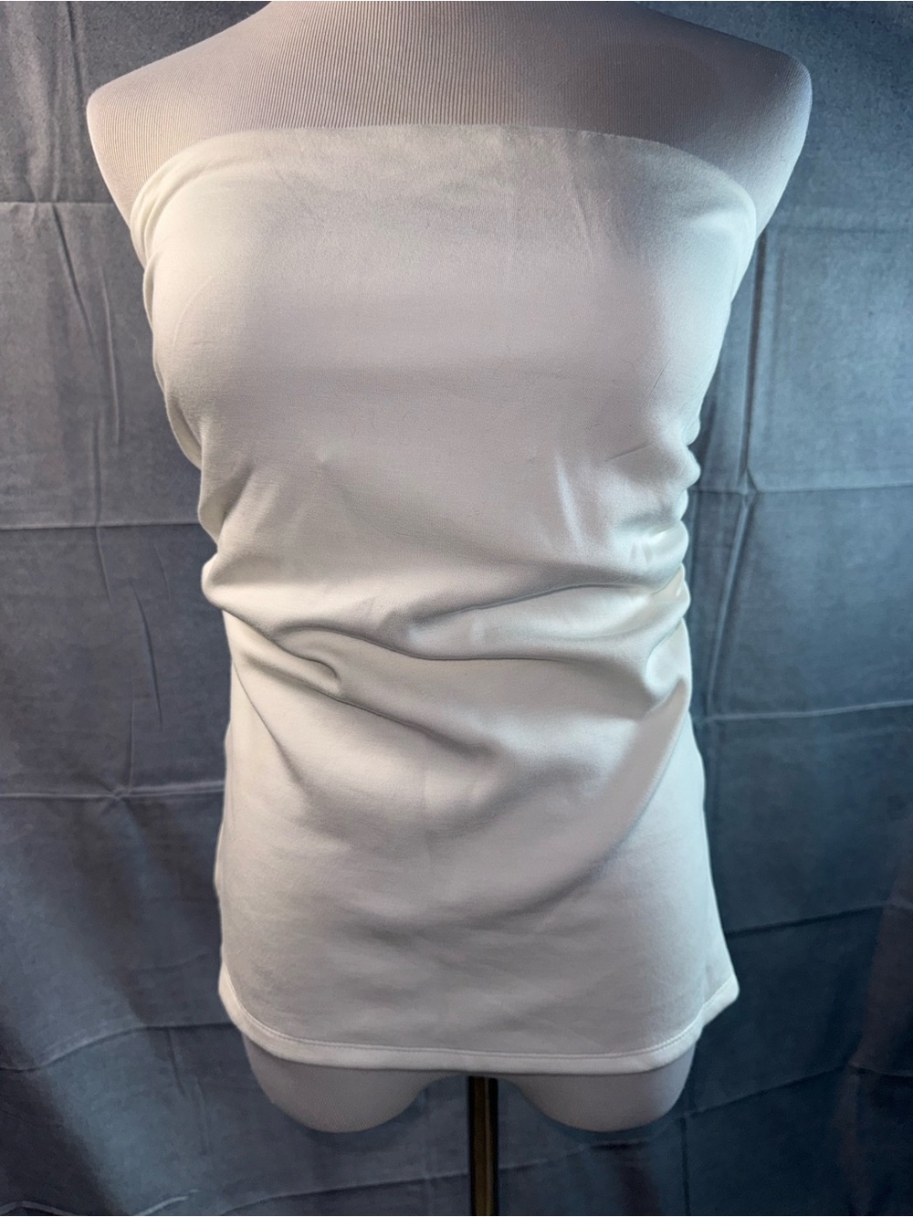 2086-envie Classic Stretch Strapless Camisole in Ivory